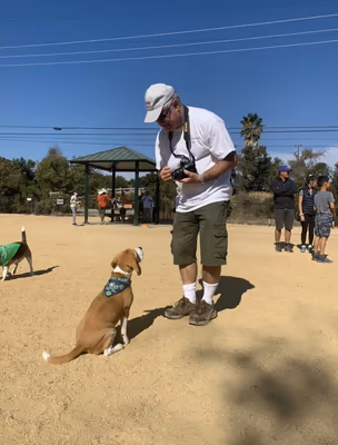 Shoreline Dog Park photo 2